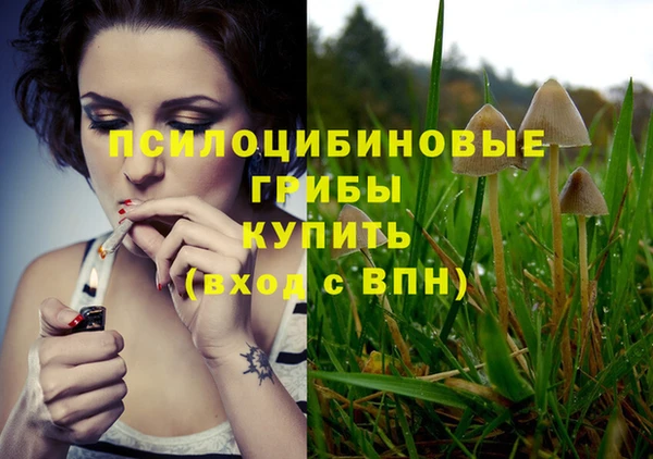 дмт Алексеевка